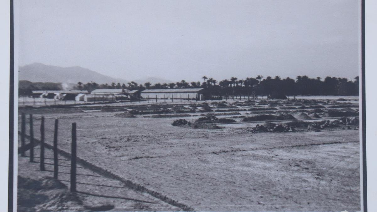 Panorámica del campo, en 1938, orientada hacia el suroeste; al fondo, la sierra de Callosa