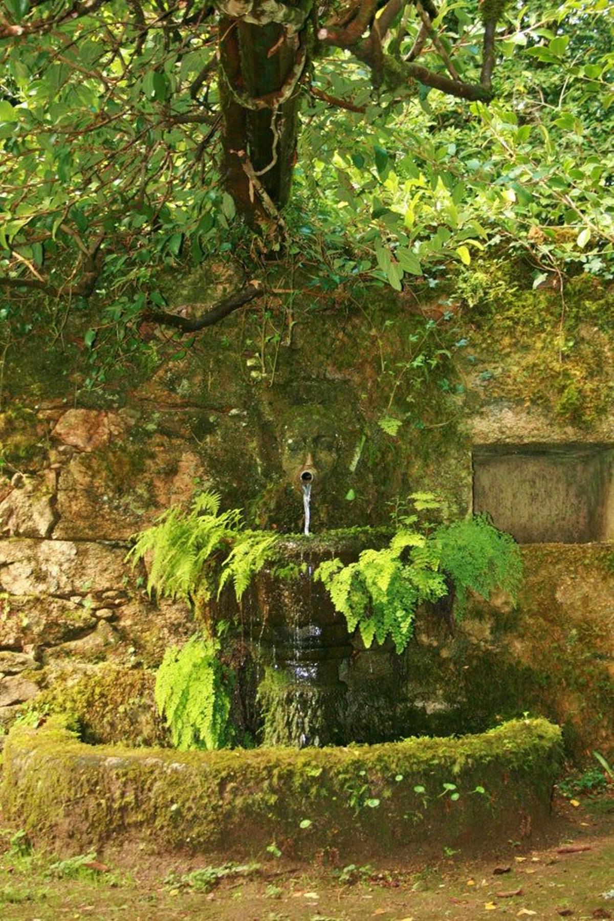 Fuente del Pazo de Santa Cruz de Ribadulla.