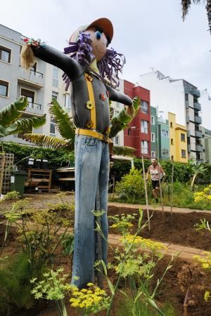 Reabren los huertos urbanos de la ciudad