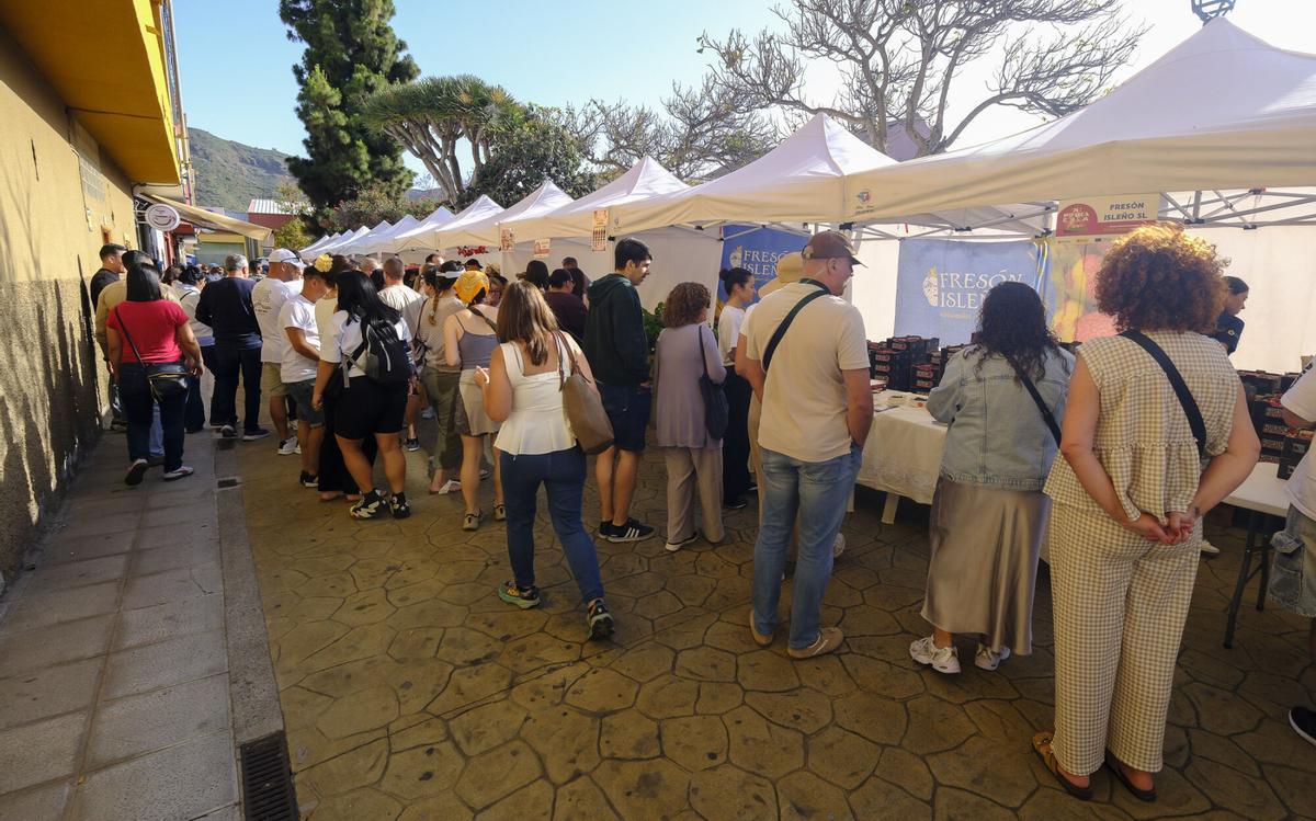 XI Feria de la Fresa, en Valsequillo
