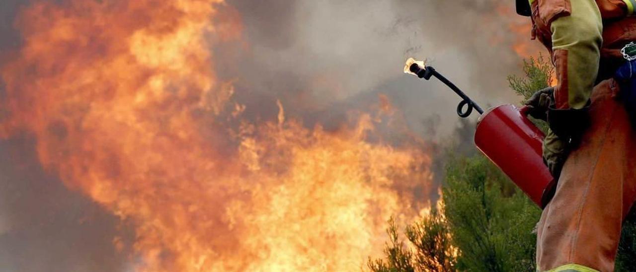 Un bombero combatiendo un incendio en Cangas del Narcea.