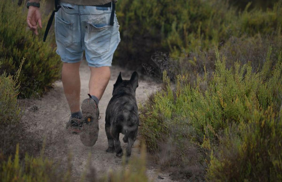 Paseando al perro por las dunas de es Cavallet.