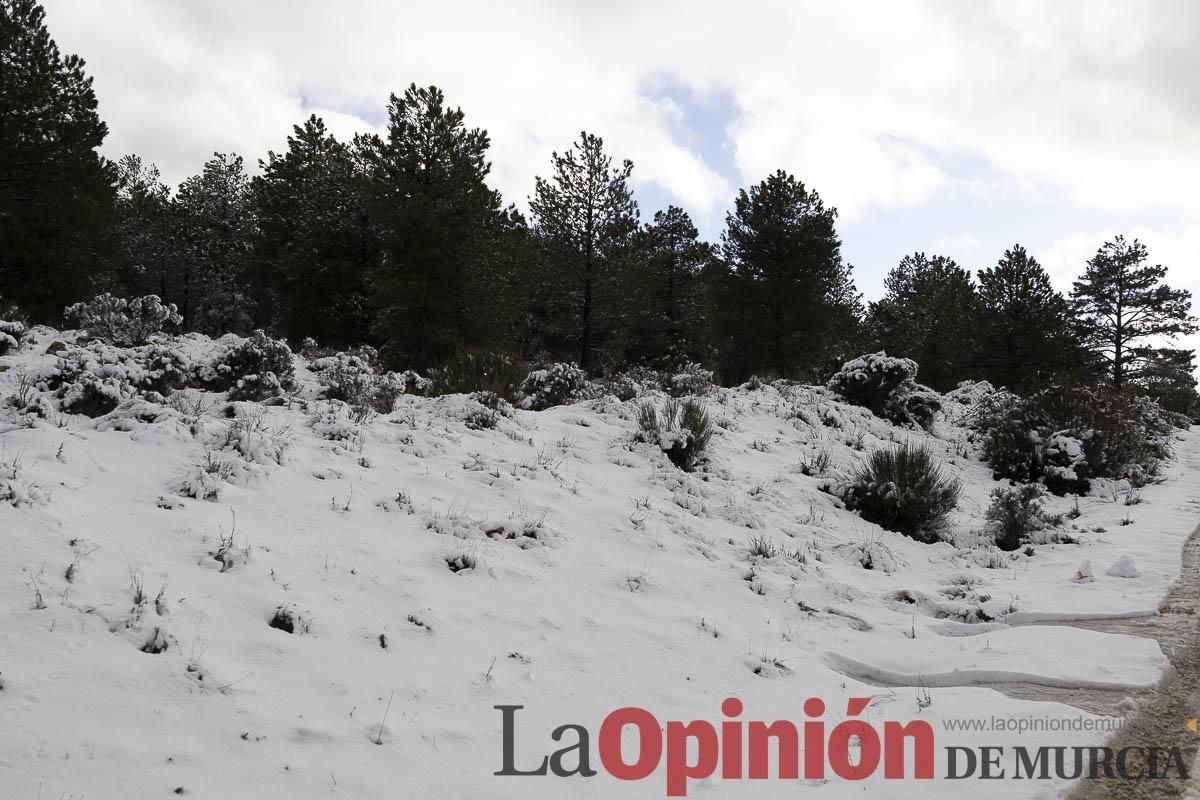 La borrasca Herminia tiñe de blanco la cima de la Región de Murcia