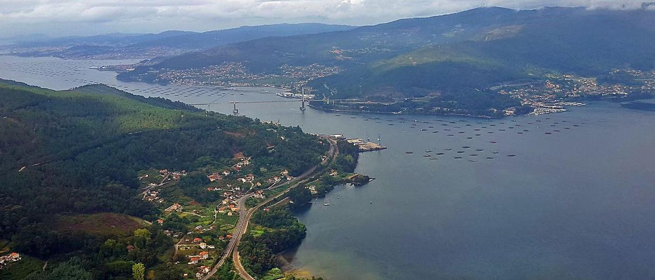 El proyecto de cultivo se quiere desarrollar en la Ría de Vigo, en Domaio y en San Simón. |   // MARTA G.BREA