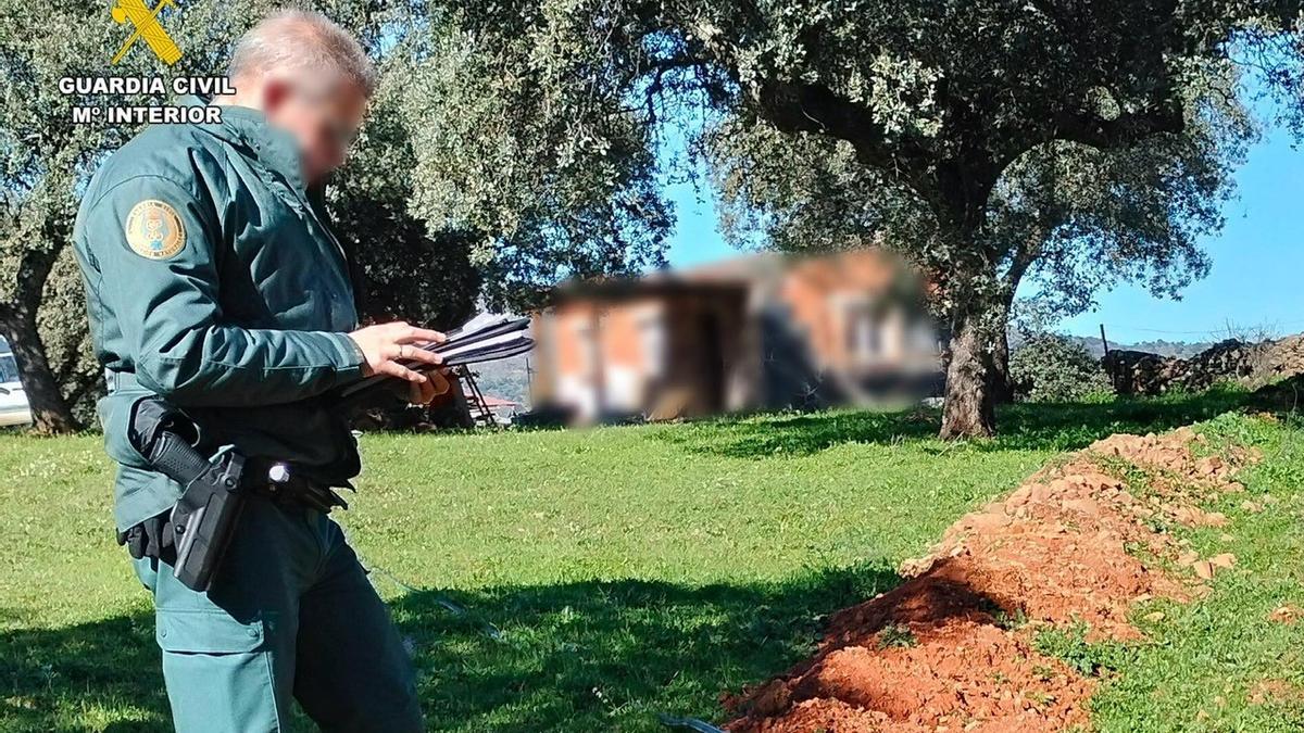 Un agente del Seprona inspecciona un terreno en Torre de Santa María.
