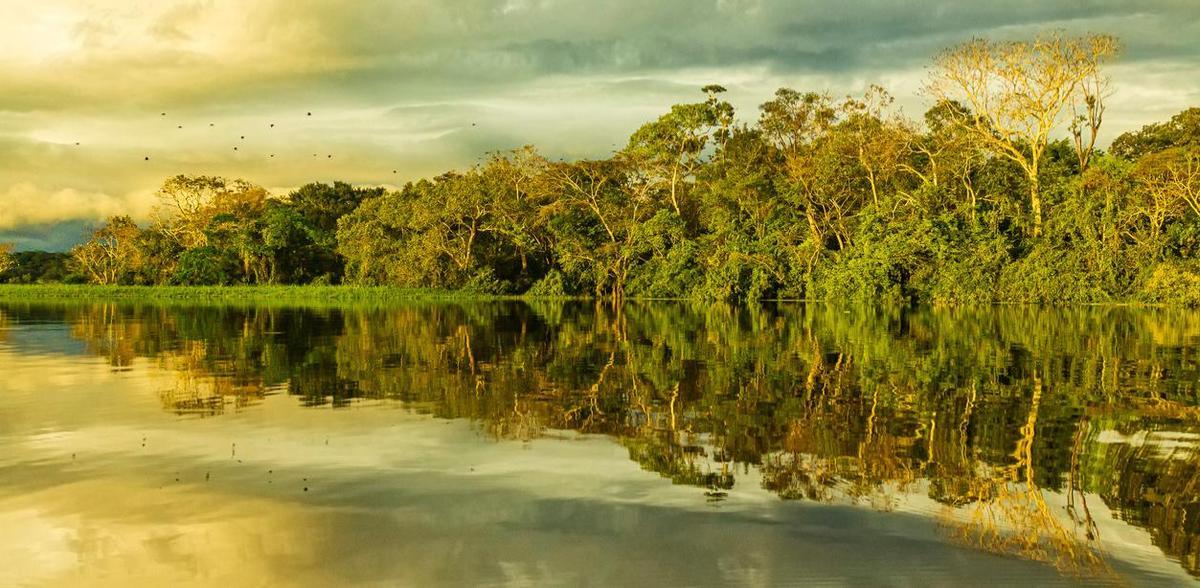 La Amazonía Colombiana