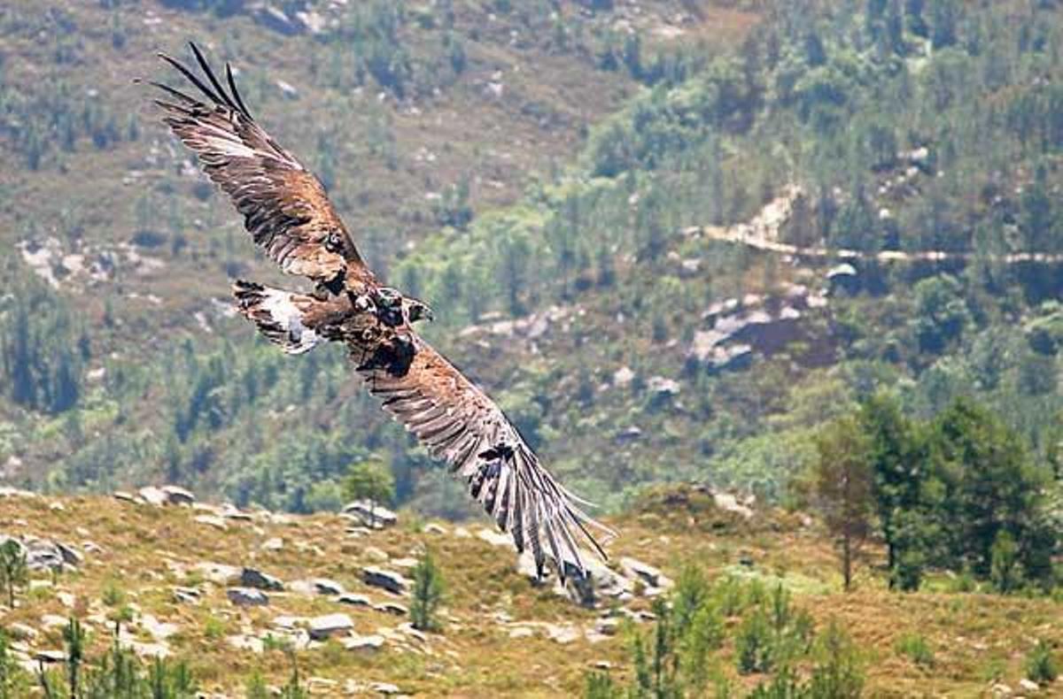 Vista del Parque Xurés-Xerés.