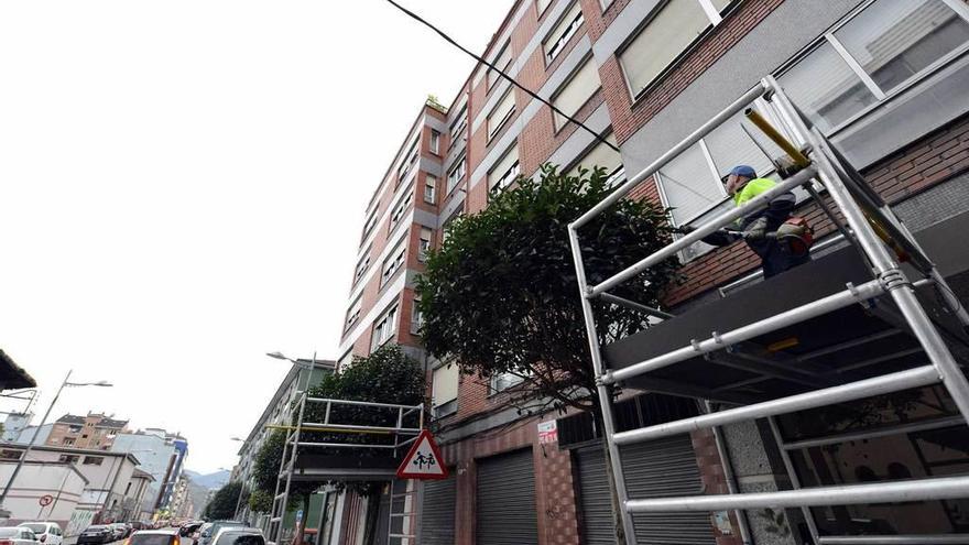 Un trabajador municipal poda un árbol en la calle Numa Guilhou.