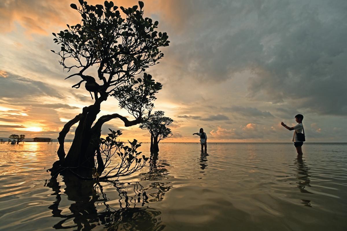 Playa de Walakiri, en la isla de Sumba, con sus espectaculares manglares danzantes
