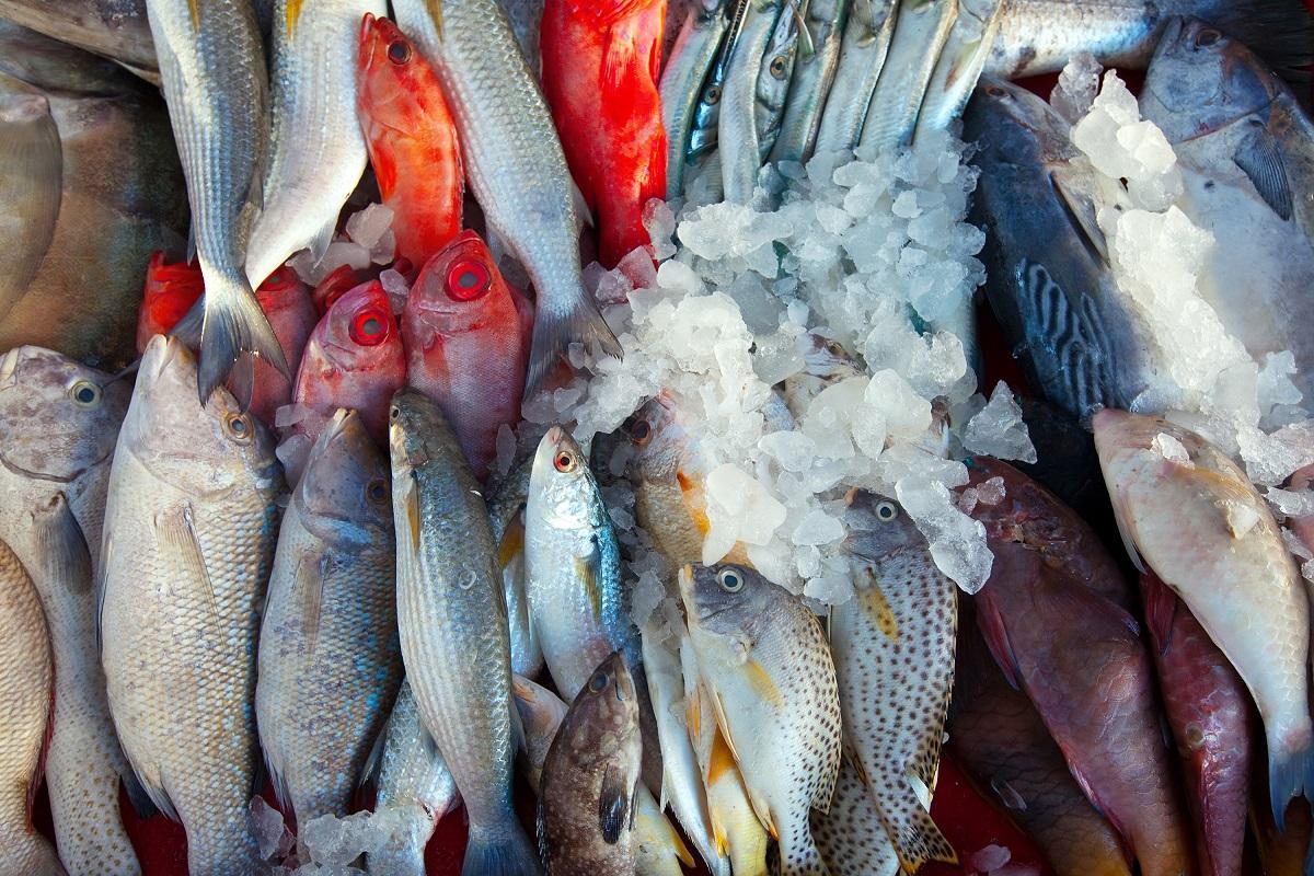 El consumo de pescado es muy alto en la dieta atlántica.