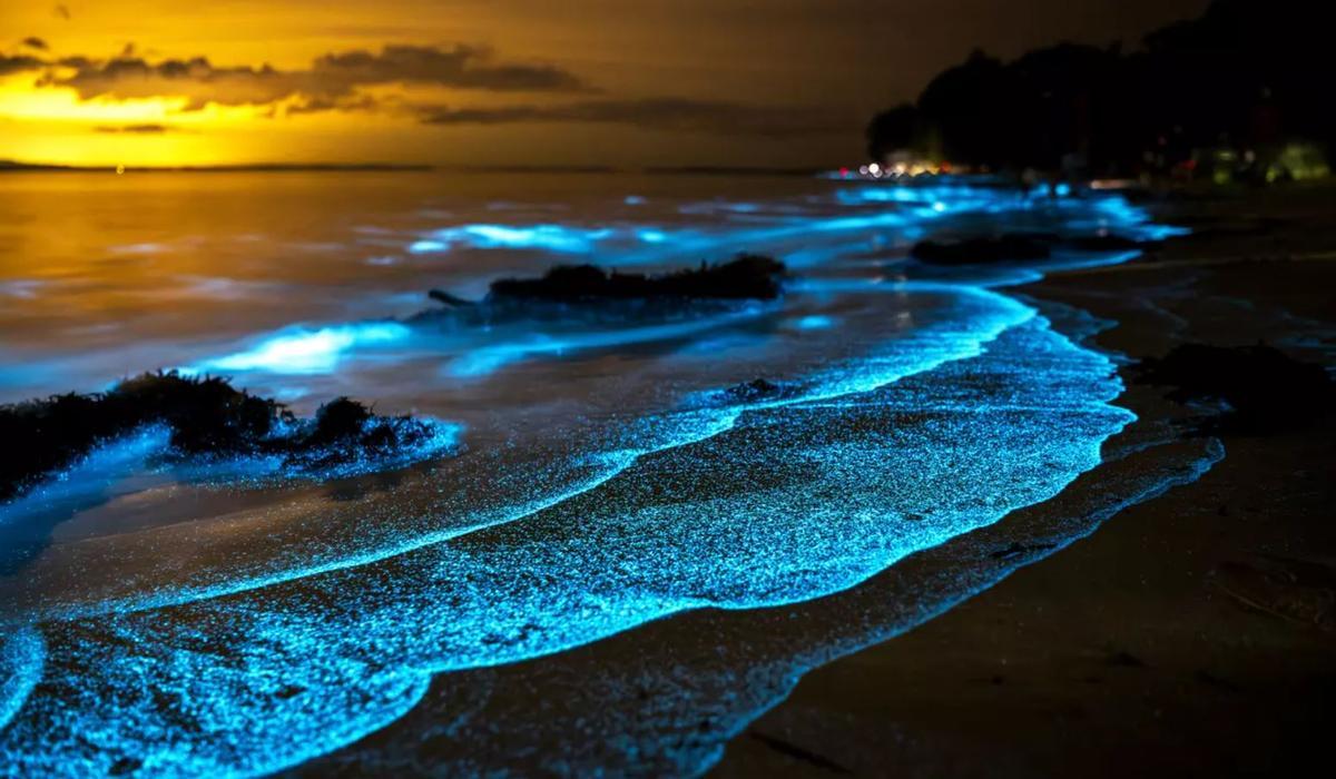 La playa de Cádiz a una hora de Sevilla en la que disfrutar de la bioluminiscencia