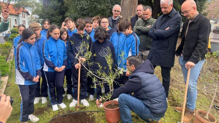 Un momento de la plantación de árboles en el Parque Doña Chana.