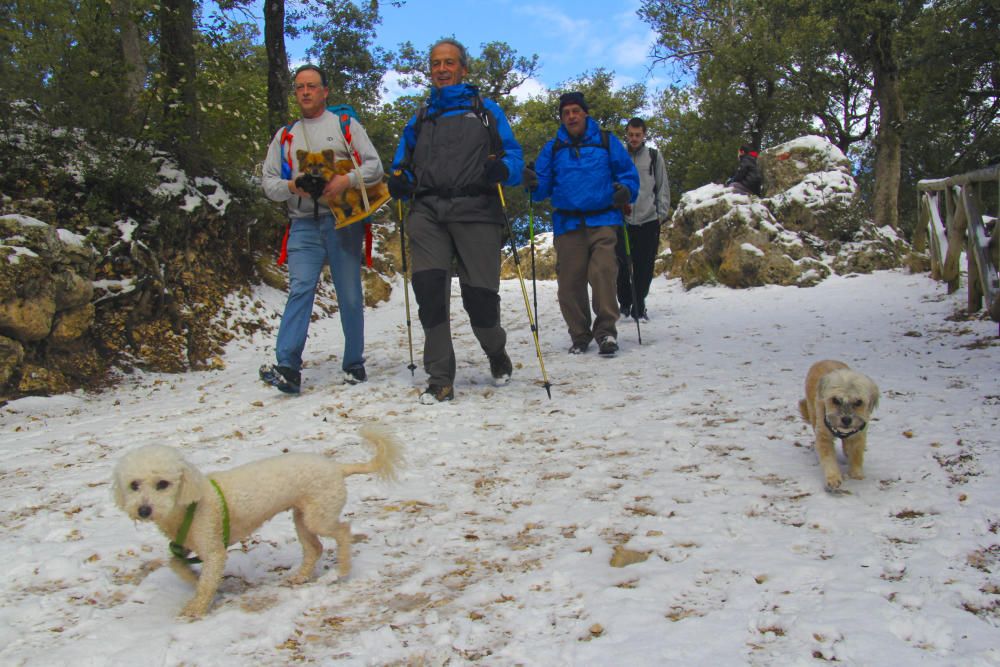 La nieve llega al interior de la provincia