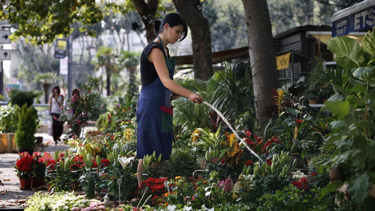 MERCADO DE LAS FLORES