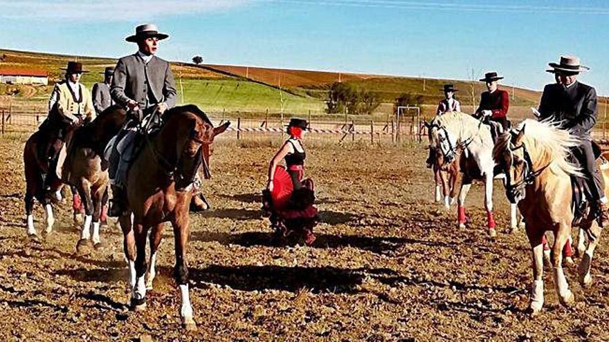 Benegiles cierra los festejos en honor a San Gregorio