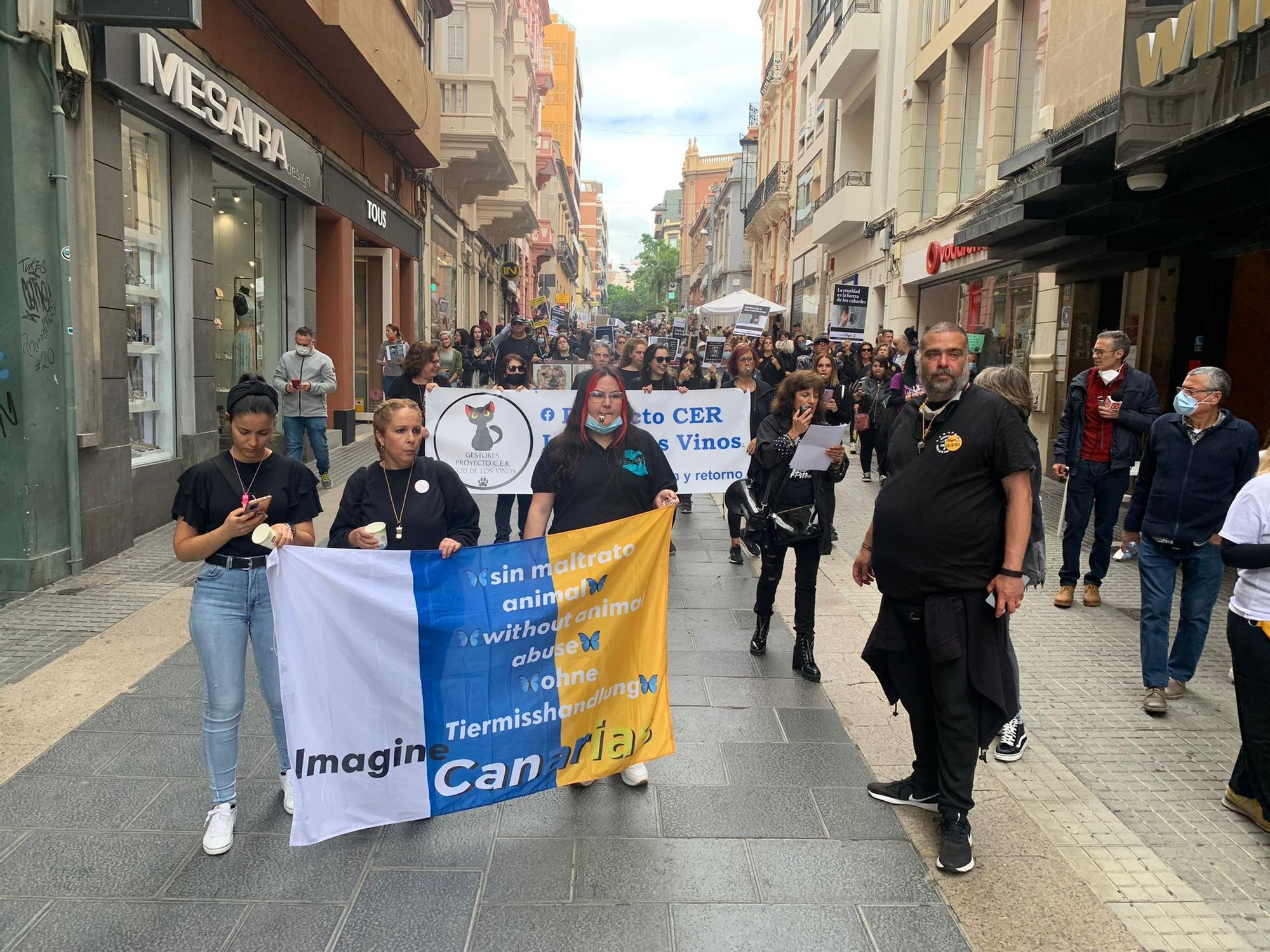 Manifestación contra el acuerdo judicial que evitará que los integrantes de la red de peleas de perros entren en prisión.