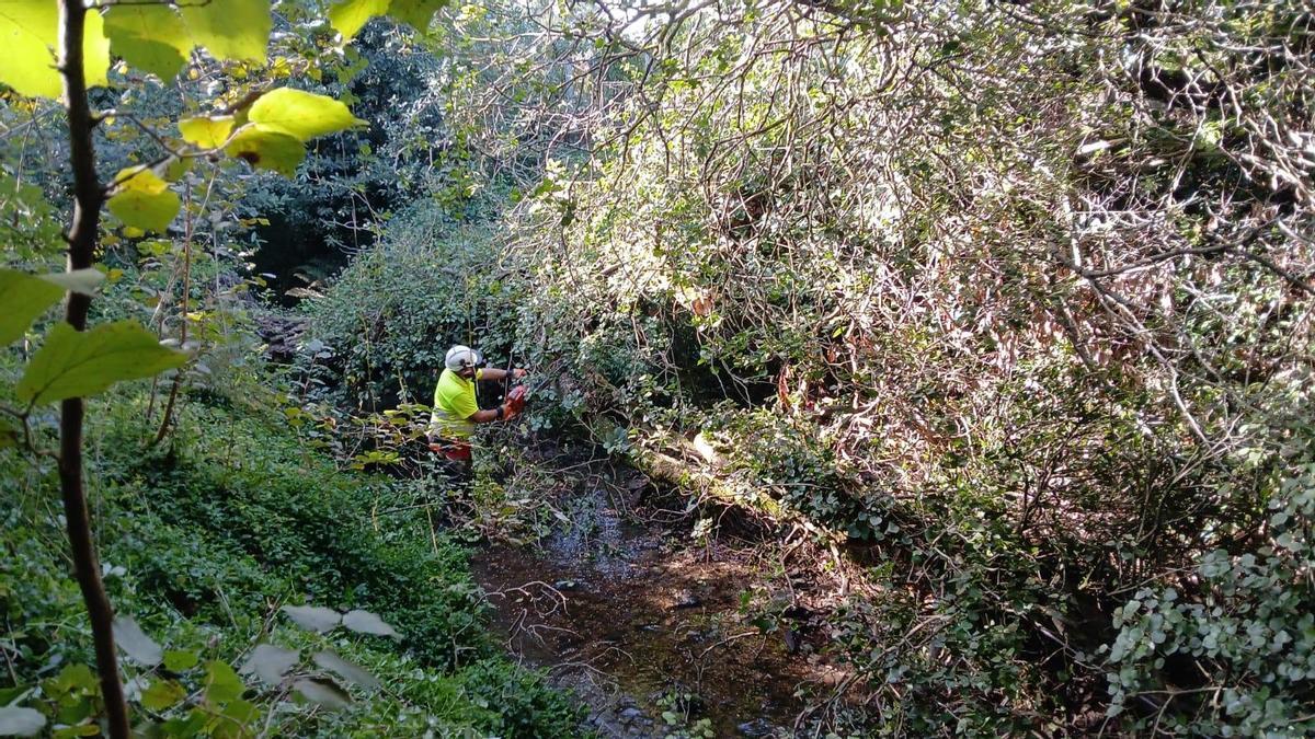 Labores en un cauce fluvial.