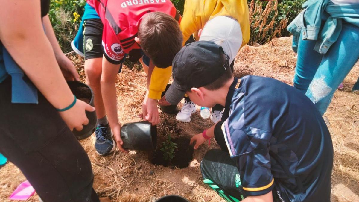 Escolares plantan algunos árboles en un pueblo zamorano