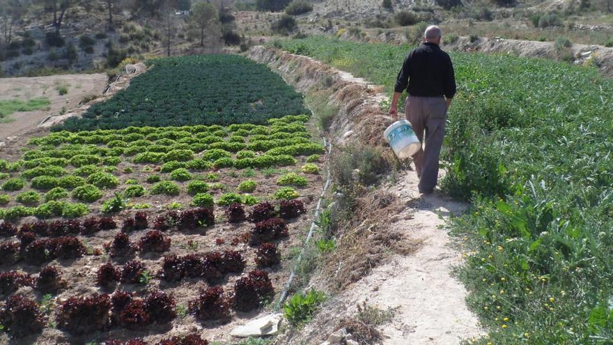 El Consell invierte 33 millones de euros en mejorar la gestión del agua en la provincia de Alicante