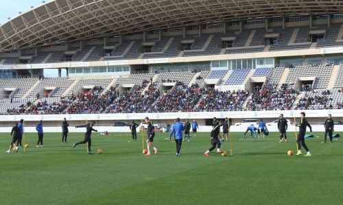 malagacf