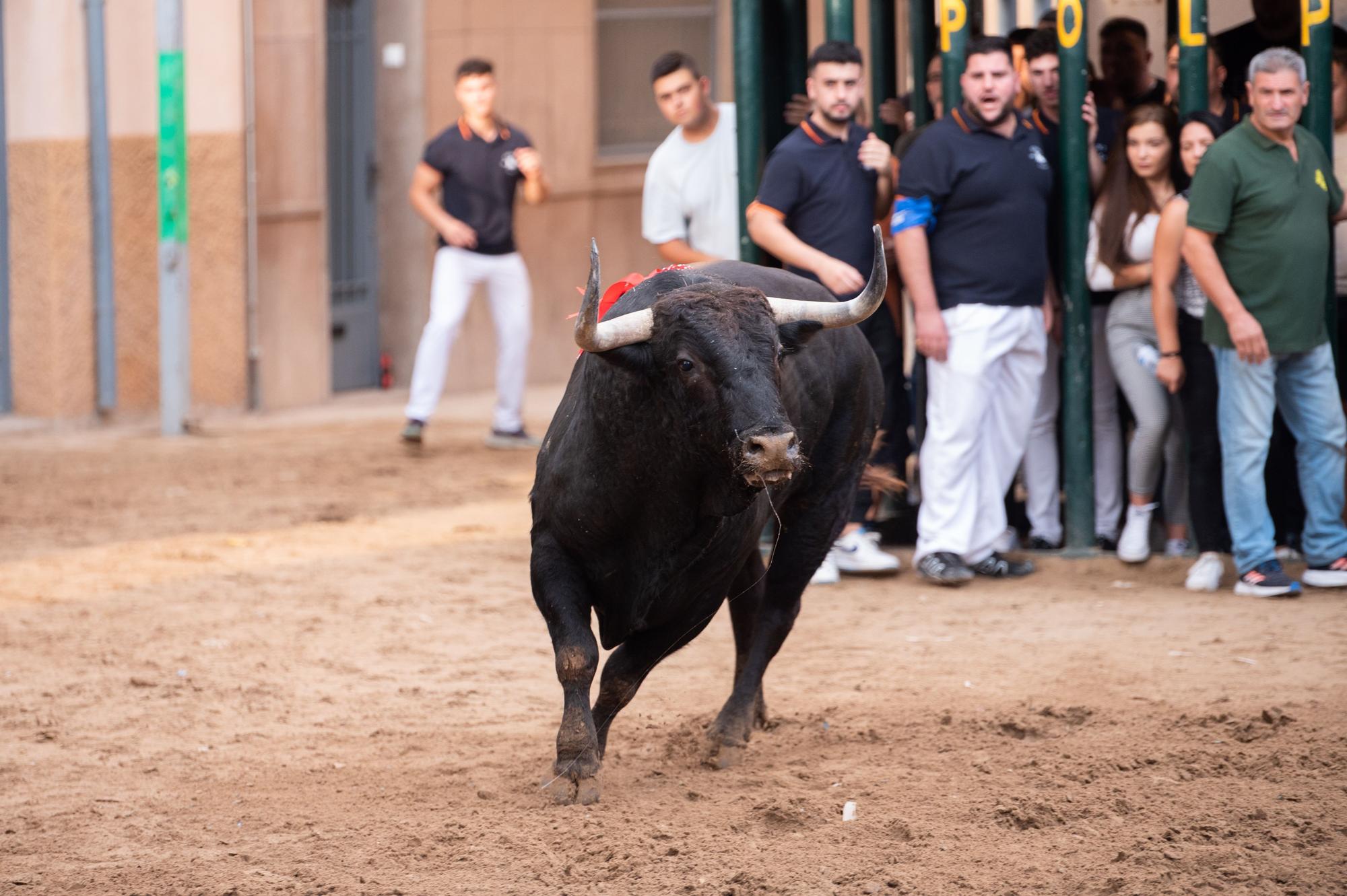 La tarde taurina del martes de las fiestas de Almassora, en imágenes