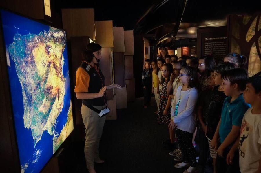 Exposición "El bosque, mucho más que madera"