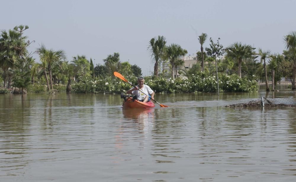 Las imágenes de las inundaciones en Almoradí y Dolores