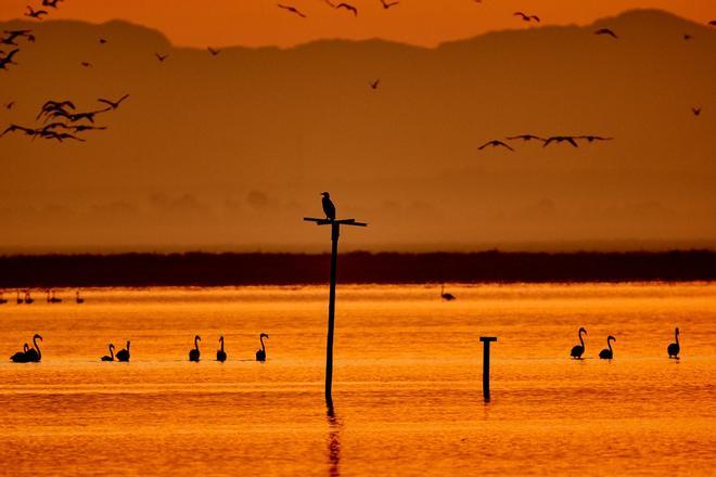 Puesta de sol en Doñana