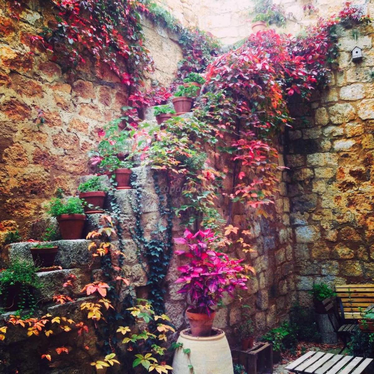 Patio del Cabildo del Castillo de Grisel