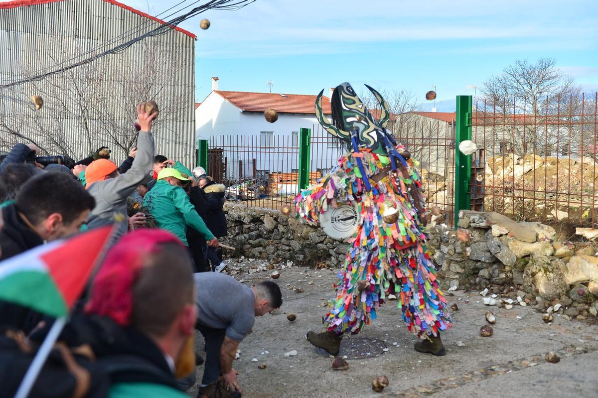 Fotogalería | Lluvia de nabos en Piornal para el Jarramplas