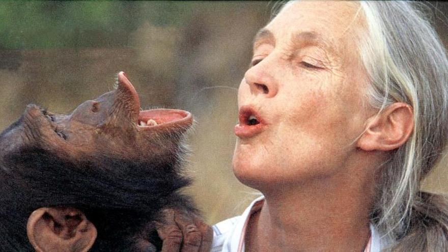 Jane Goodall