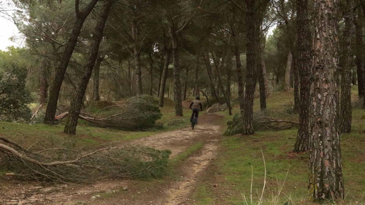 Un joven disfruta del Bosque de Valorio.