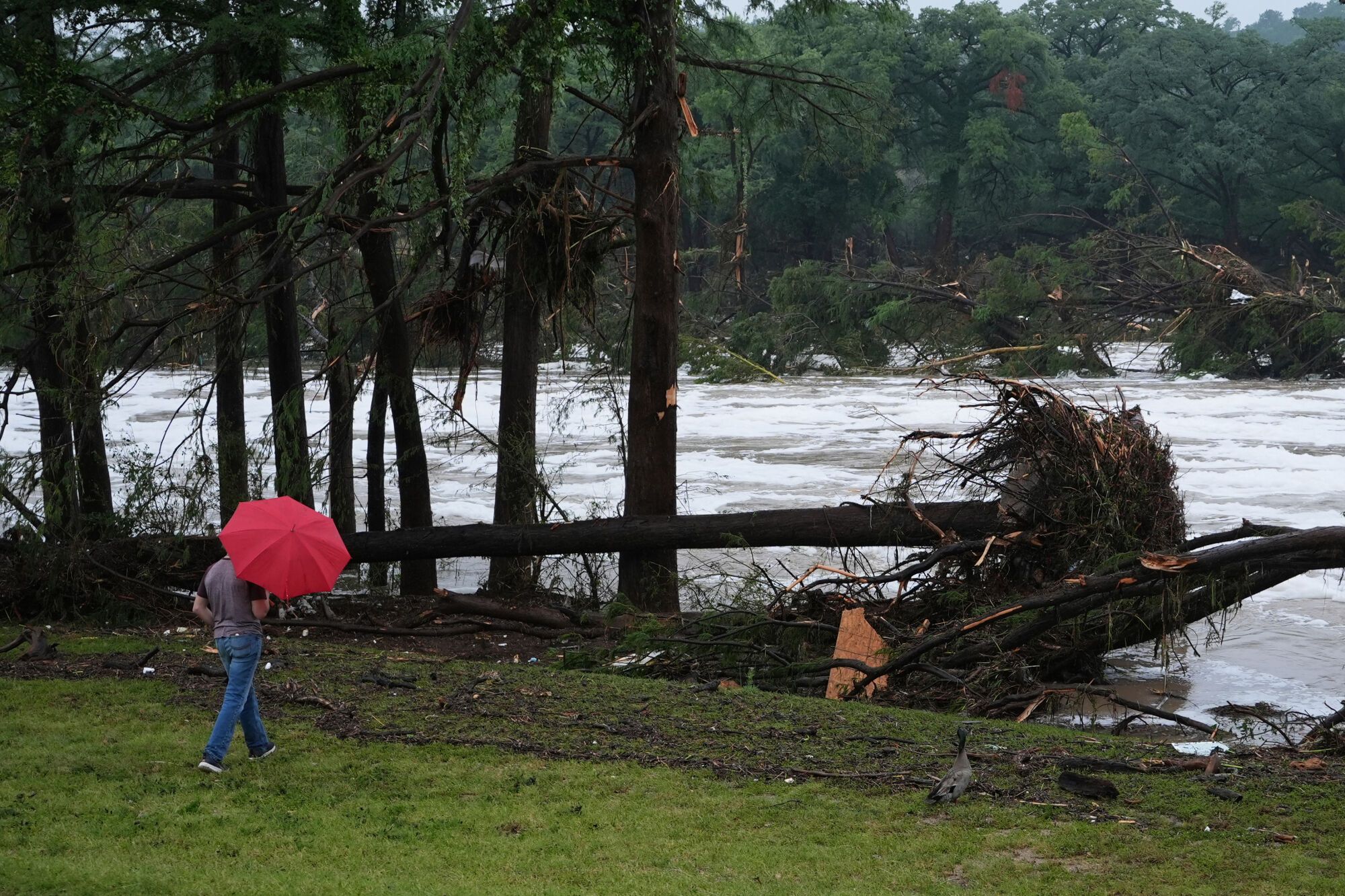 A man surveys damage left by a raging Guadalupe River, Friday, July 4, 2025, in Kerrville, Texas. (AP Photo/Eric Gay)