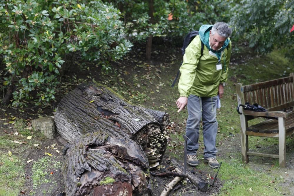 Recorrido micológico por el Jardín Botánico Atlántico