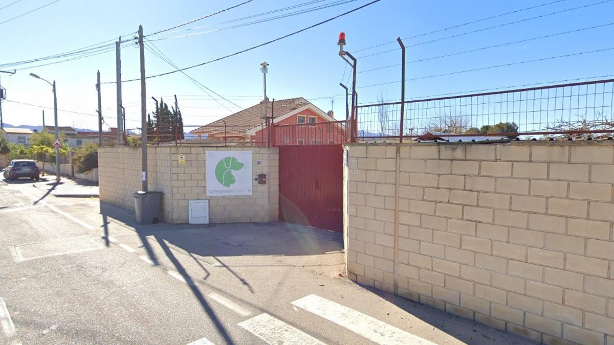 El Centro Municipal de Control de Zoonosis en La Albatalía.
