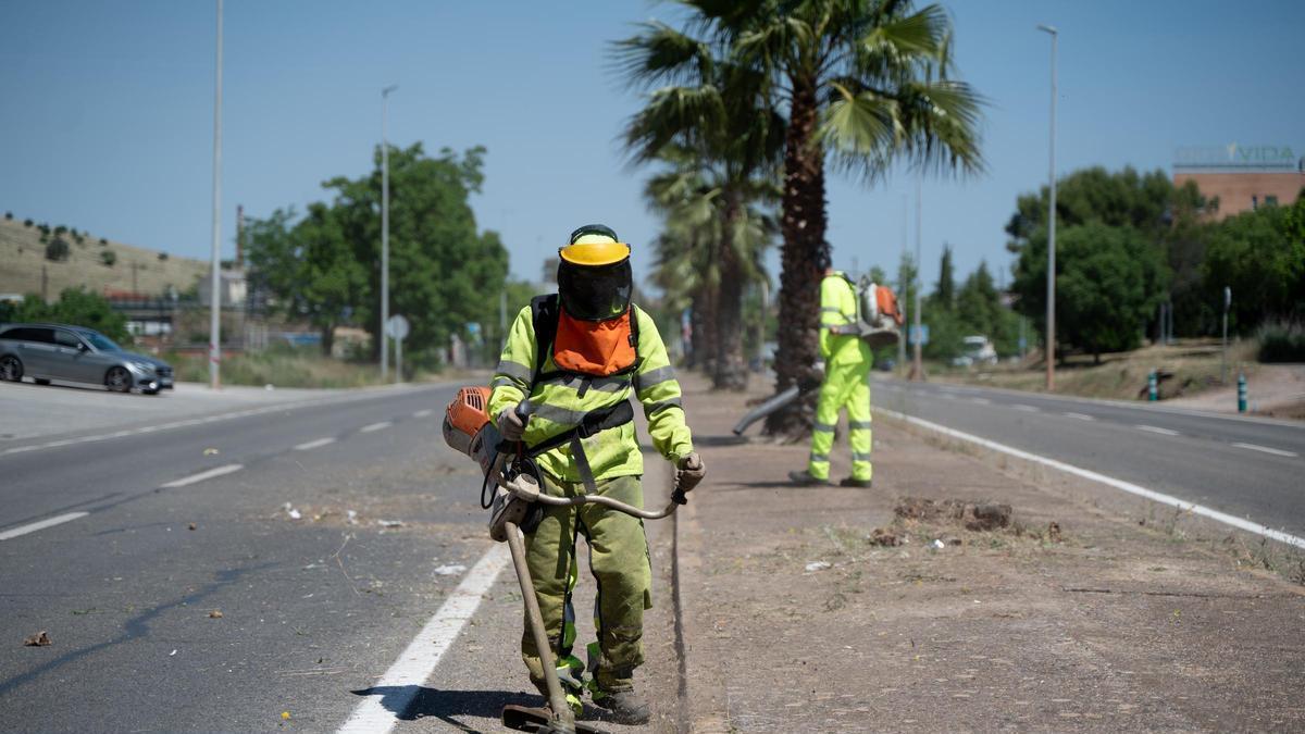 Fotogalería | Cáceres desbroza sus zonas sensibles antes del verano