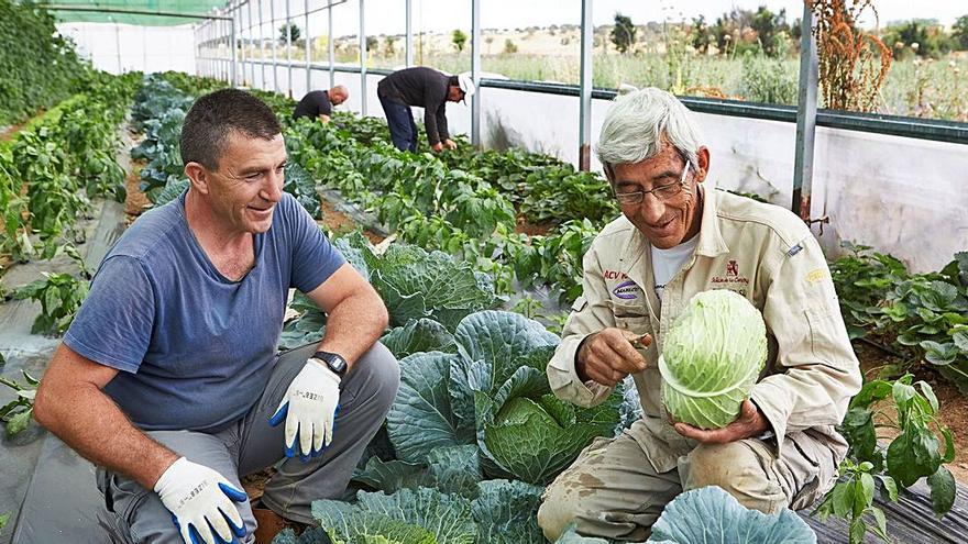 El programa de Fundación «la Caixa» promueve la igualdad de oportunidades. | LEVANTE-EMV