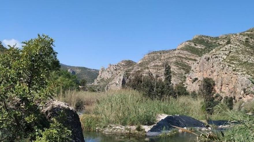 El cadáver ha sido encontrado en el paraje Peña María, de Gestalgar.