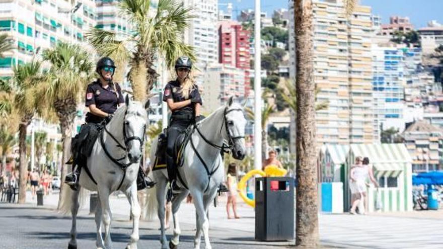 La Unidad de Caballería vigila en Benidorm