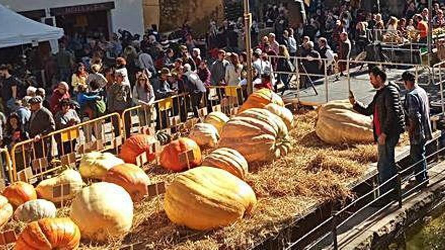 La Fira d&#039;Ous d&#039;Euga de Sant Llorenç premia una gran carbassa de 625 quilos