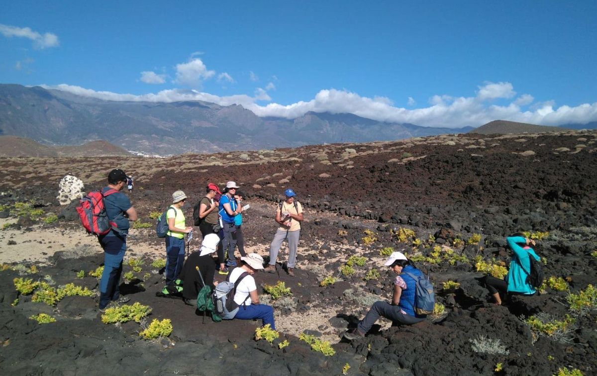 Activity developed under the umbrella of the Insular Office of Environmental Volunteering in a bad country in the South of Tenerife. | | ED