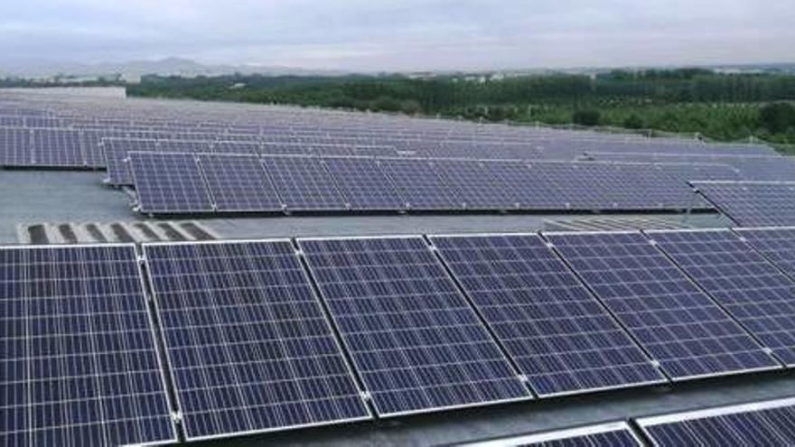 La planta fotovoltaica construïda per Endesa.