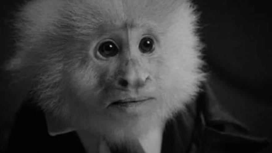 David Lynch, un mono y la ceremonia de los Goya