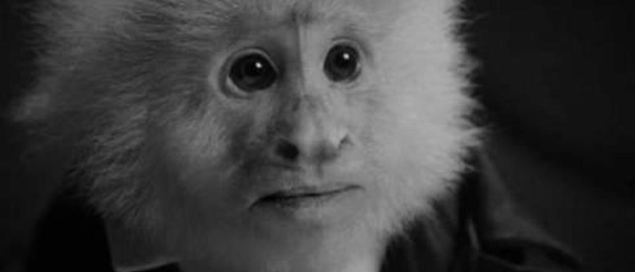 David Lynch, un mono y la ceremonia de los Goya