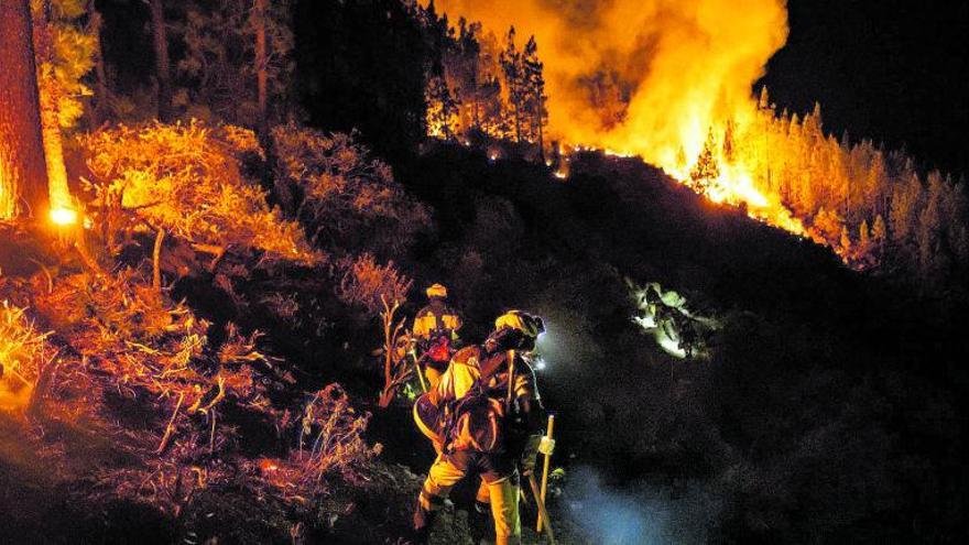 Bomberos, a mediados de agosto, durante las tareas de extinción del incendio de Tenerife. | | ANDRÉS GUTIÉRREZ
