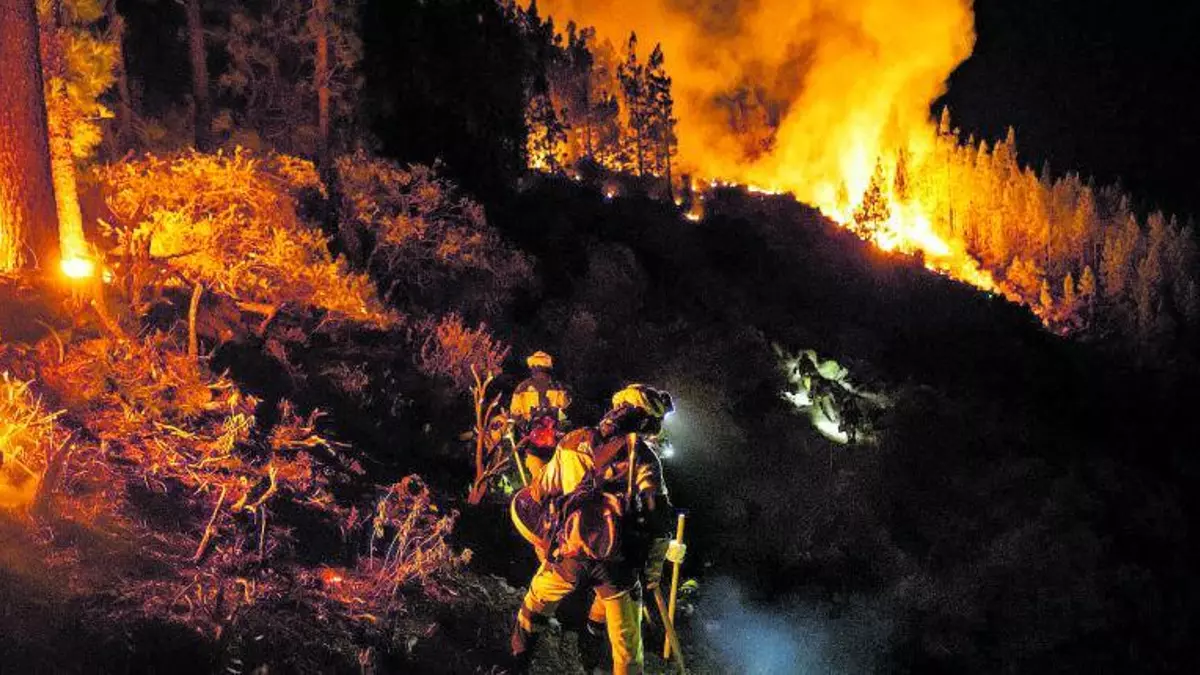 Tenerife teje un cordón de protección contra el fuego forestal: 19 municipios implicados