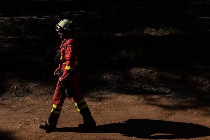 La UME realiza prácticas de prevención de incendios en Gran Canaria