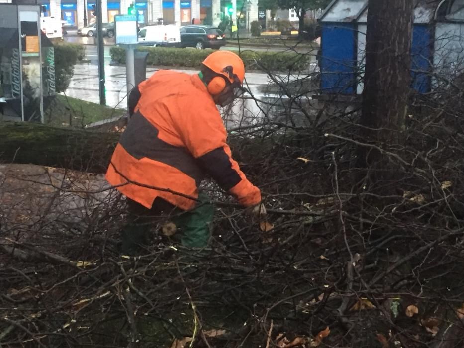 Destrozos en El Escorialín