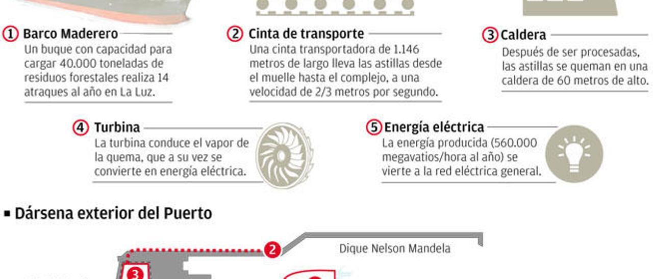 Ence calcula en 150 millones la inversión para su central de biomasa en La Luz