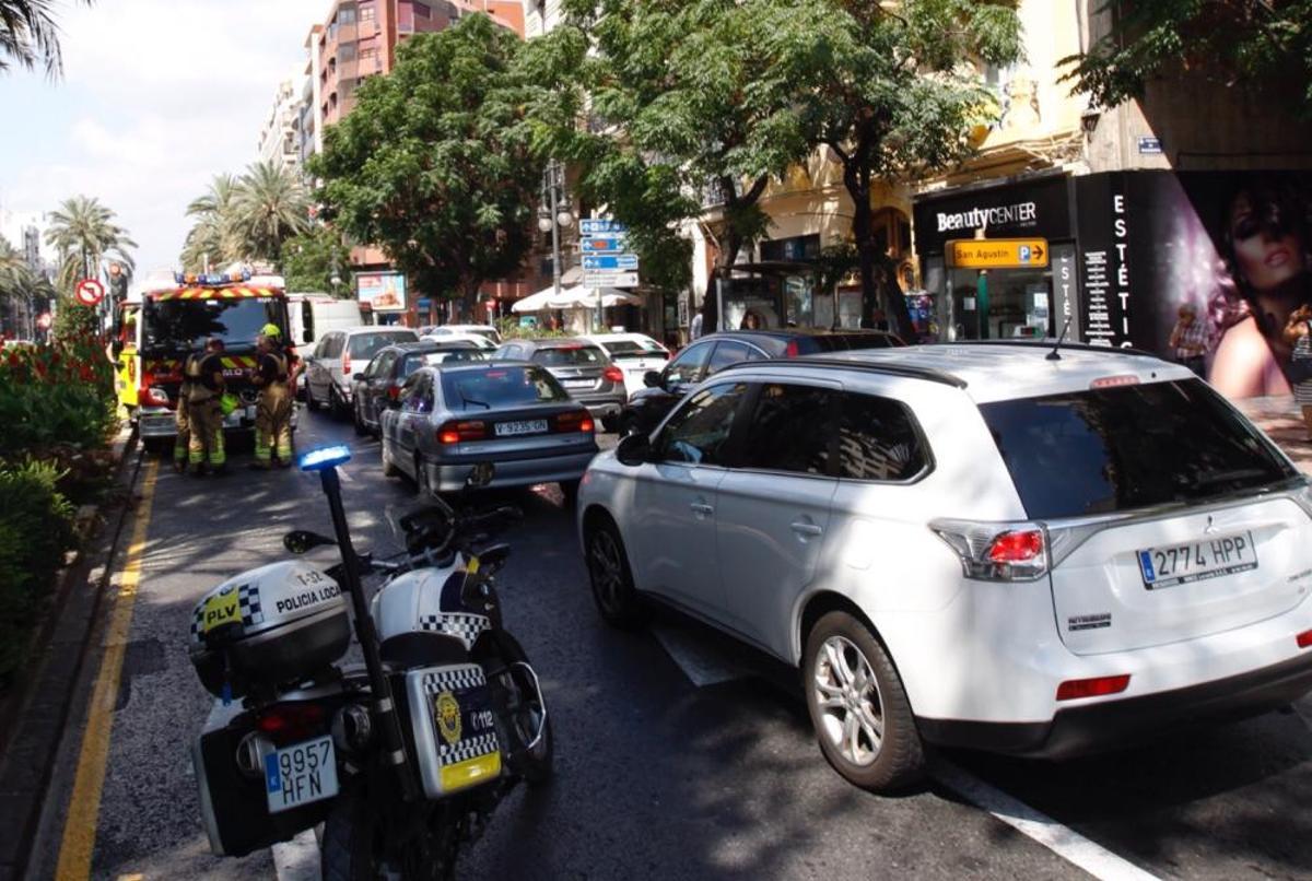 Cae una palmera en Marqués del Túria, en Valencia.